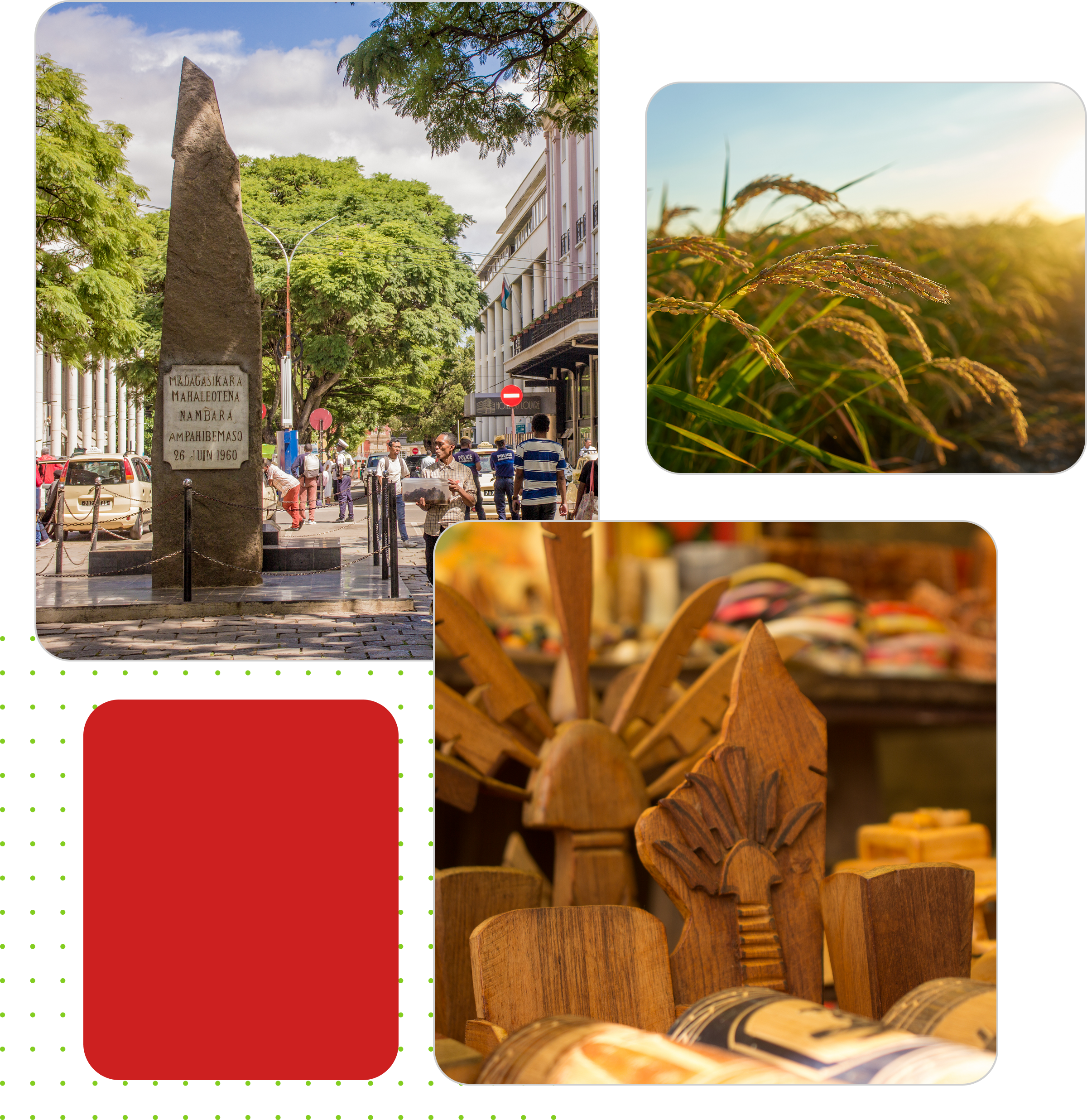 À propos du Réseau